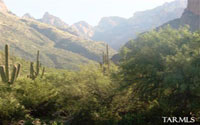 Pima Canyon